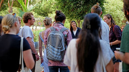 Tawasol network supports democratization in the WANA region