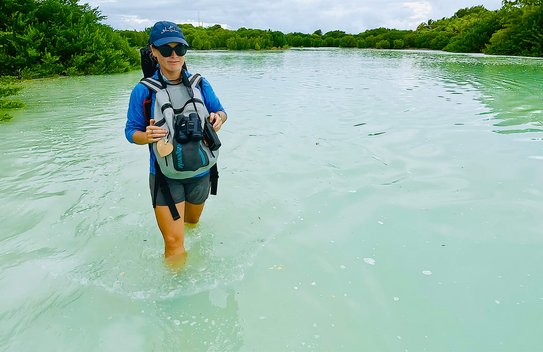 Marine biologist Eleanor Brighton says: “Mangrove forests are highly effective carbon sinks and are therefore natural allies of humans in the fight against climate change.”