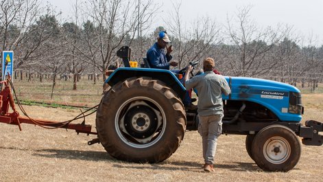 Lokale Farmer nach der Pekanuss-Ernte auf der Experimental Farm der University Of Pretoria.