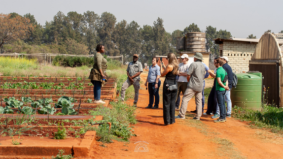 Besuch mit Führung durch Animal Sciences-Experten und Phd-Studenten durch die Experimental Farm der University of Pretoria.