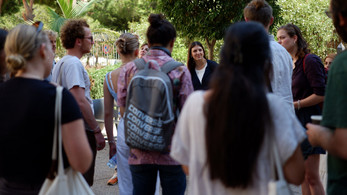 تواصل [Tawasol] Cultural Production and Policy Network