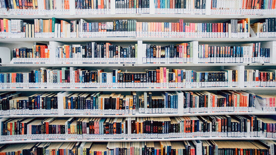 Promotion Zeppelin Universität