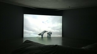 Artists &amp; Projects