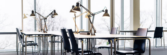 Pioneer Port of Zeppelin University