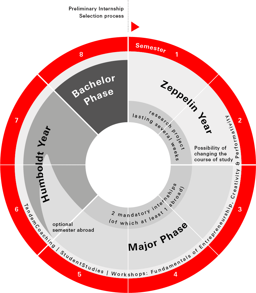 Content and Structure of BA CCM