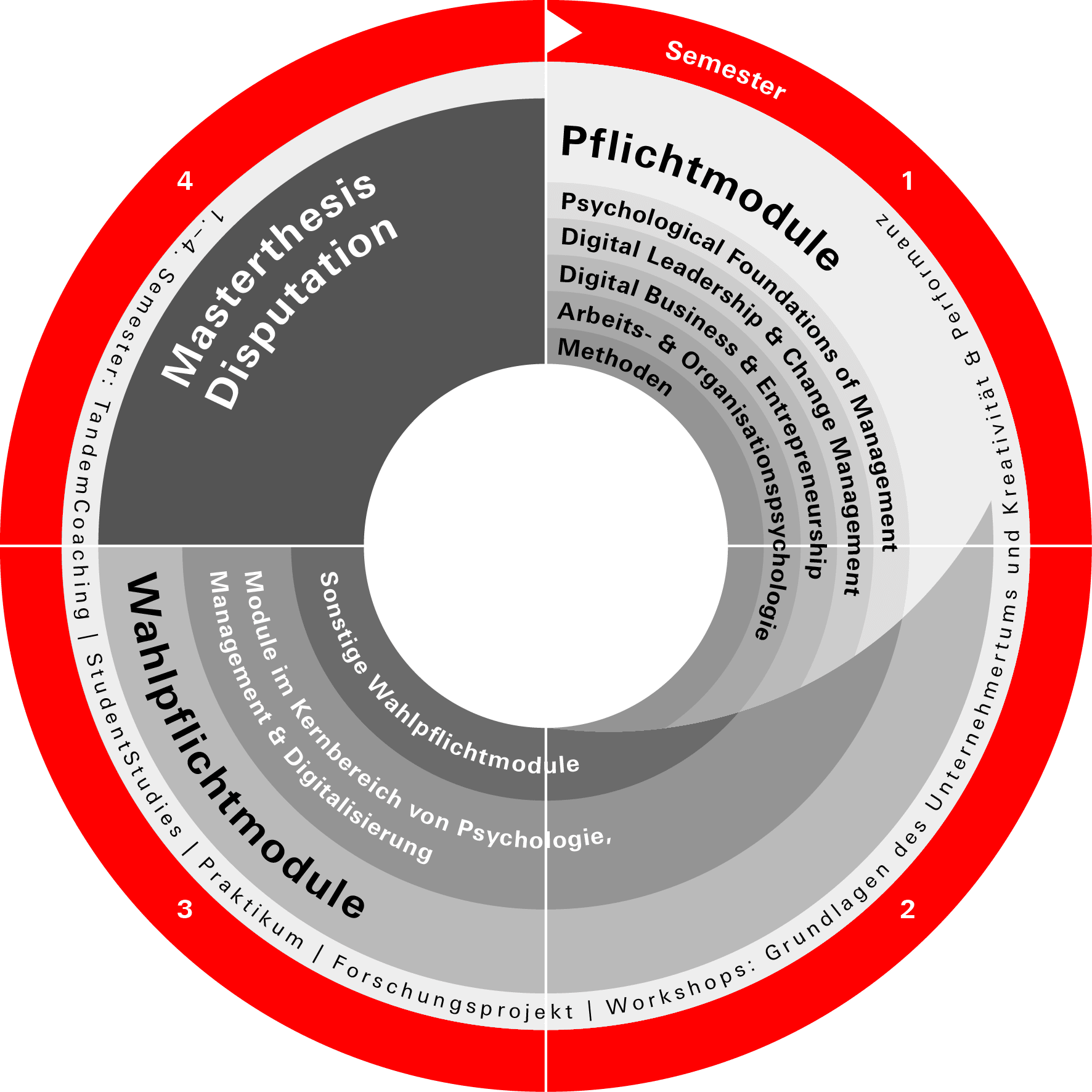 Study structure of the MA study program PSM