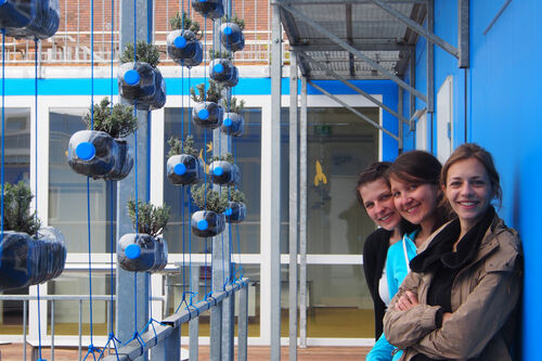 Urban gardening campaign at the Container University
