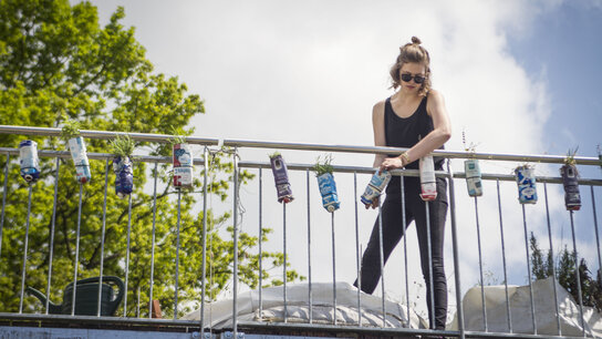 Selected projects by ZU students of CCM