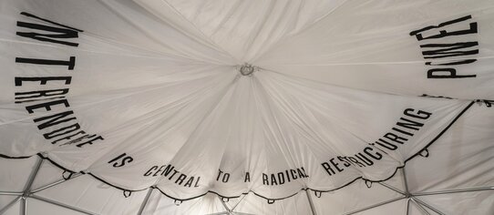 Interdependence is central to a radical restructuring of power, Parachute by Carmen Papalia