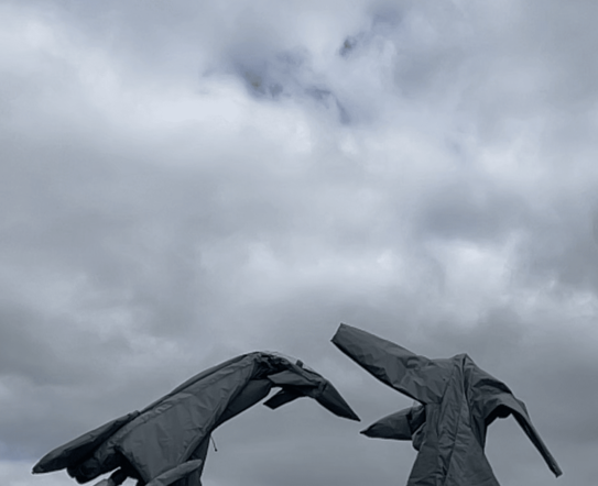 Ausstellungseröffnung | Fiona Banner aka the Vanity Press: Pranayama Typhoon